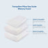 Tranquillow Pillow (Memory Foam) Variations A100211000