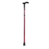 Simplex Foldable Walking Stick - Rebotec DJ133.40.30
