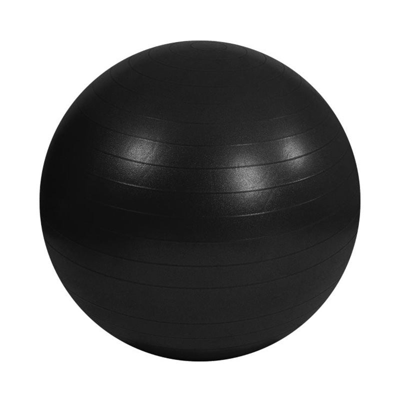 Gym Exercise Ball GEB