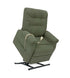 Fern Pride Mobility C101 Power Lift Recline Chair S1871
