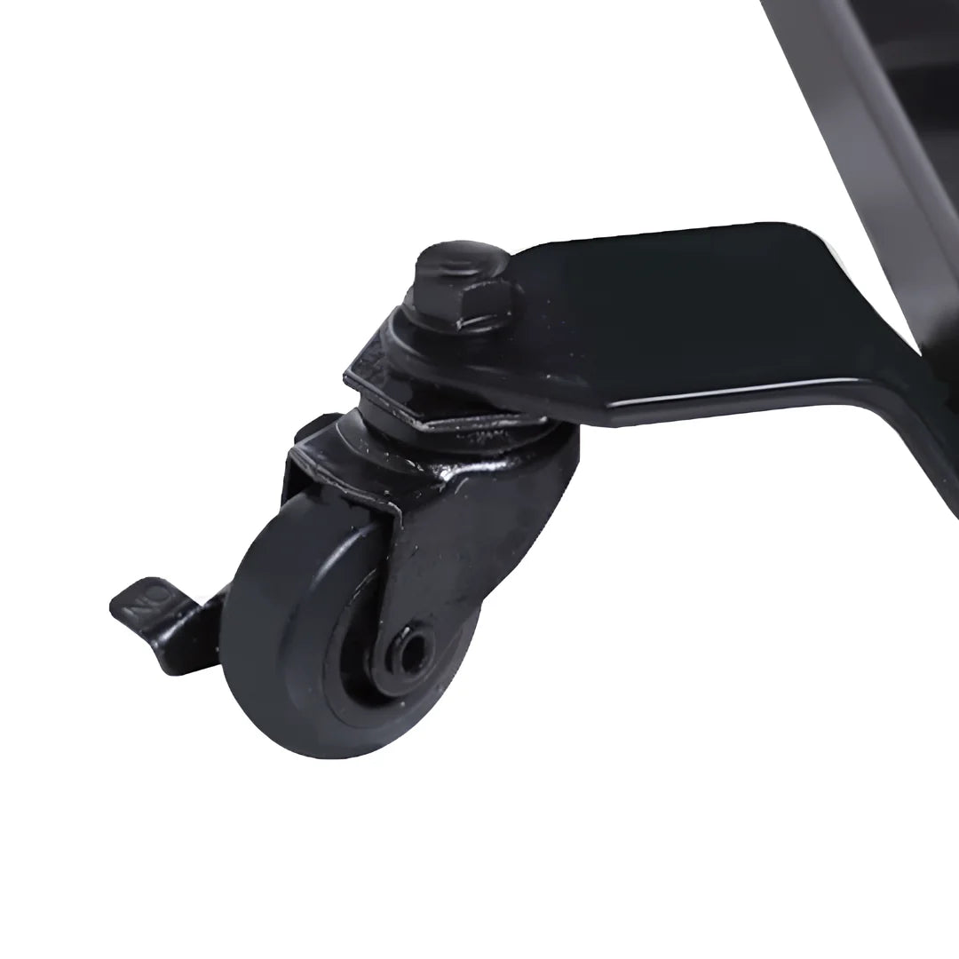 Mayfair Mini Lift Recline Chair Royale Medical S300955/S300956
