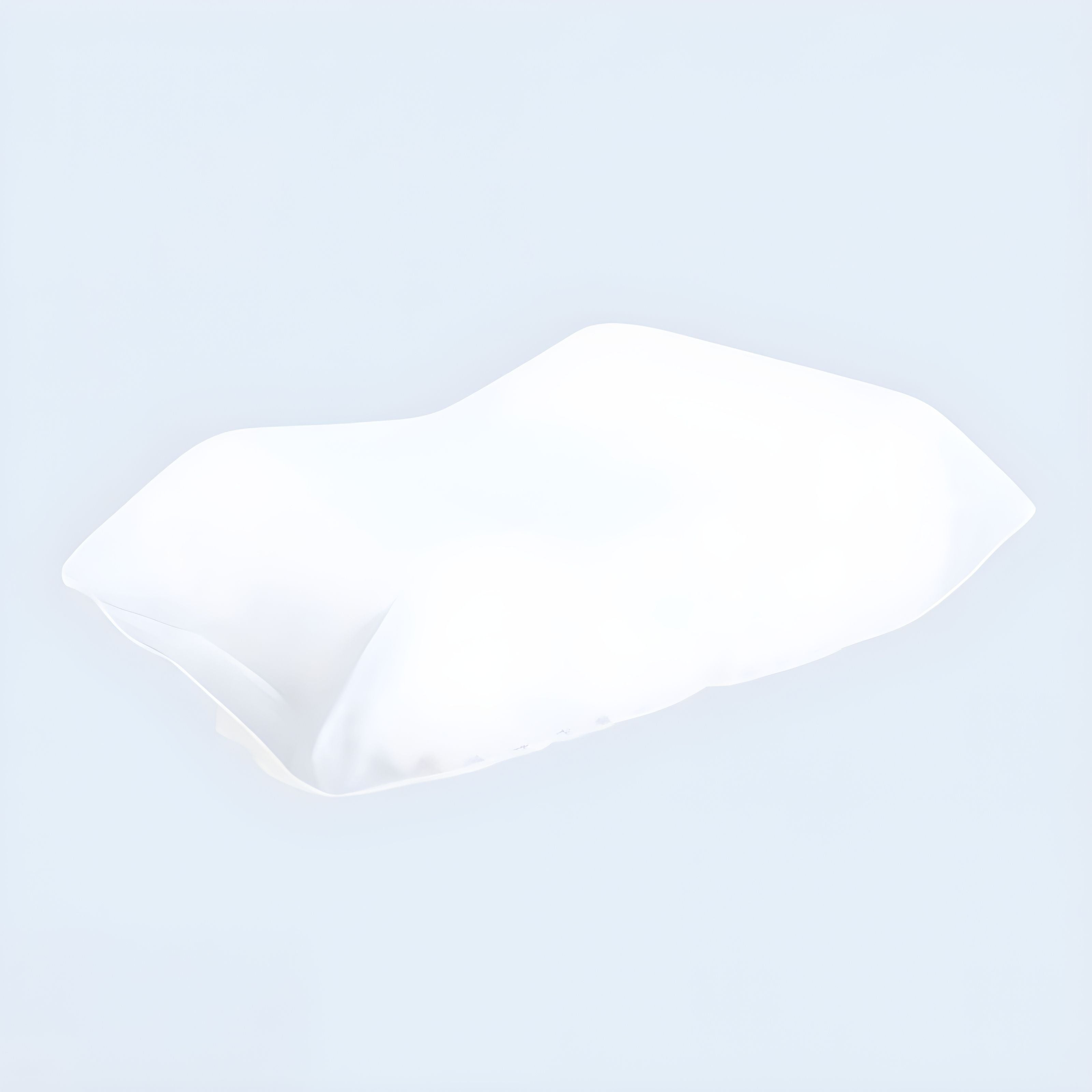 Complete Sleeprrr Travel Pillow Inner Mesh Only A190770900